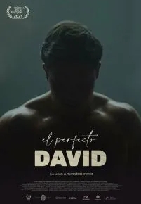 El perfecto David