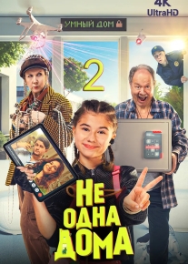 Не одна дома 2