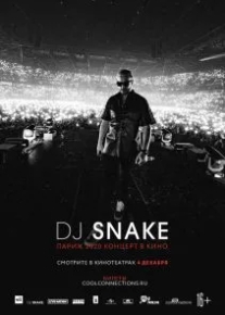 DJ SNAKE: Париж 2020. Концерт в кино