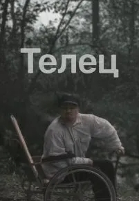 Телец