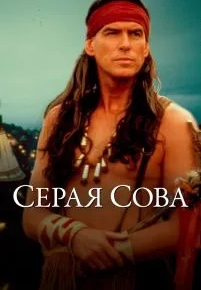 Серая сова