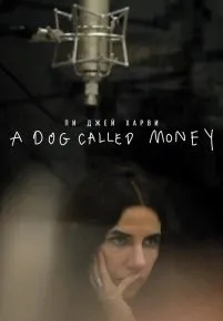 Пи Джей Харви: A Dog Called Money