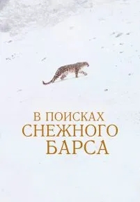 В поисках снежного барса