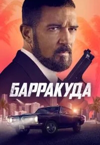 Барракуда