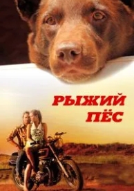 Рыжий пес (2011)