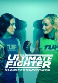 The Ultimate Fighter (31 сезон)