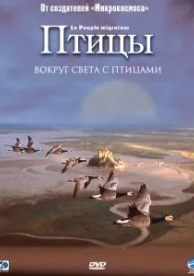 Птицы (2001)