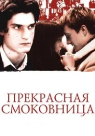 Прекрасная смоковница (2008)