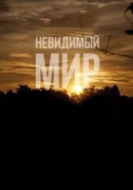 Невидимый мир (2012)