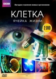 BBC: Клетка (1 сезон)