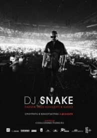 DJ SNAKE: Париж 2020. Концерт в кино (2020)