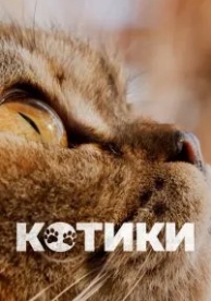 Котики (2022)