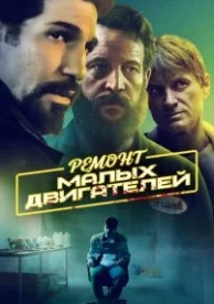 Ремонт малых двигателей (2021)