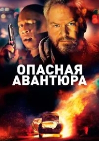 Опасная авантюра (2018)