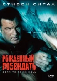 Рожденный побеждать (2010)