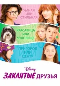 Заклятые друзья (2012)