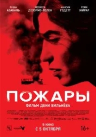 Пожары (2010)