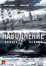 Наводнение (2007)