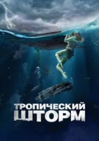 Тропический шторм (2022)