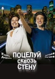 Поцелуй сквозь стену (2010)